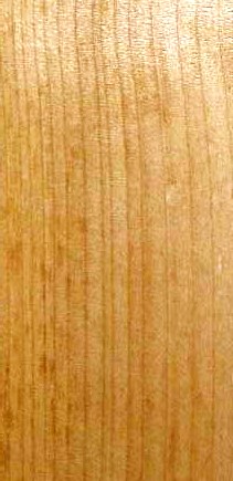 Accsys Technologies Now Offering Accoya Alder