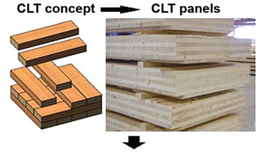 Seismic Performance of Cross-Laminated Timber