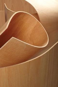Columbia's Radius Bending Plywood Hot with Architects