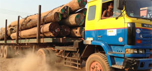 Corrupt Timber Sales in Mynamar Top $6 Billion: EIA Report