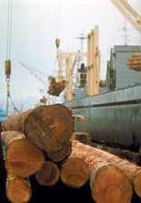 China doubles wood buys from North America 