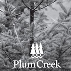 Plum Creek MDF Plant Resumes Production After Fire