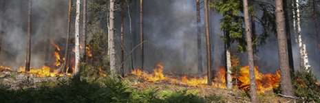 Record Fire in Sweden Now Under Control