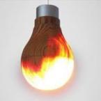 Wooden LED Light Bulb: What a Bright Idea