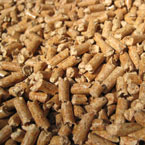 E-Pellets Buys Former LP Mill for Wood Pellet Production 
