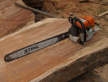 Advocacy Group Opposes Logging Industry Employment Bill