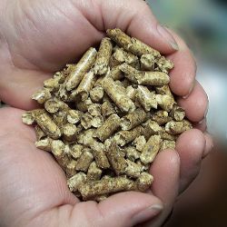 Wood Pellet Plant Acquired by Alternative Energy Company 