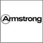 Armstrong posts 1% sales decrease for 2010