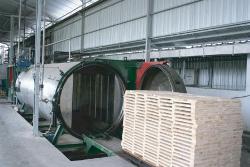 Thermal wood plant introduced