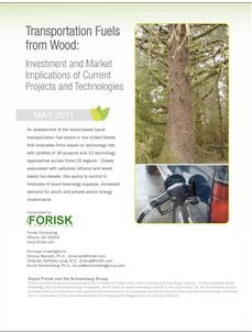 Study: No significant contributions by wood-based biofuels in 2011