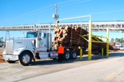 RWE commissions wood pellet factory in Georgia