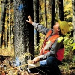 Rockler raises funds to plant 10,000+ trees