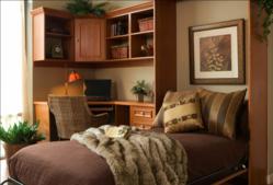 Tailored Living: Murphy Beds Getting Popular
