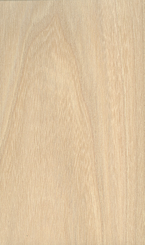 Woodworking Association Of North America