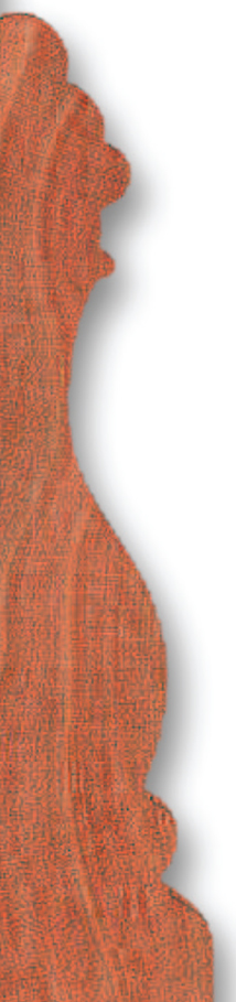 TiloProfile.jpg TiloProfile.jpg