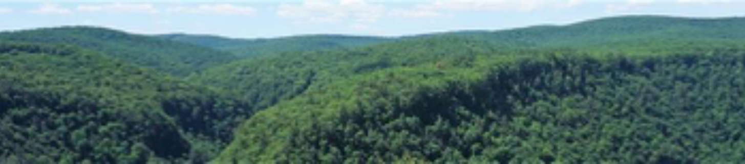 bingaman-sawmill.jpg bingaman-sawmill.jpg