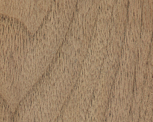 Black Walnut Why Coloration Matters Woodworking Network