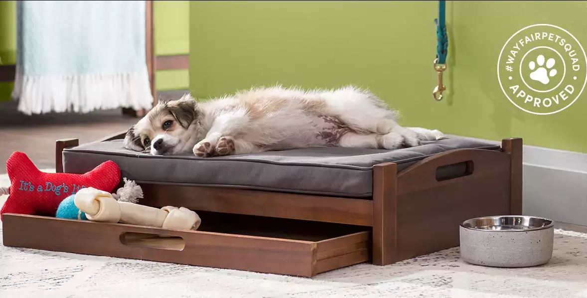 This Upholstered Furniture Guaranteed To Get Covered With Pet Hair Woodworking Network