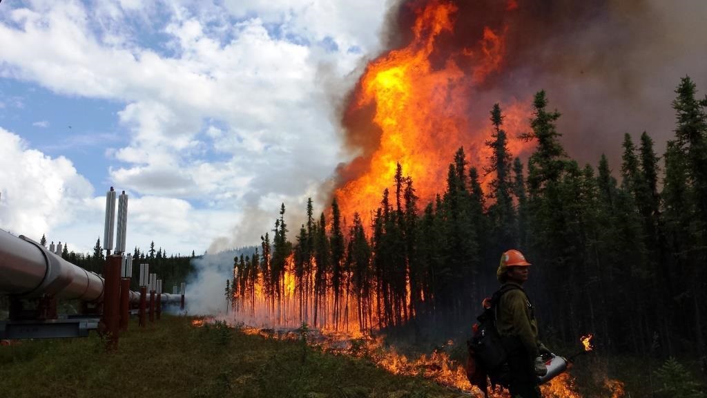 Canada Forest Fires Force Lumber Mill Closures Prompt State Of Emergency Woodworking Network