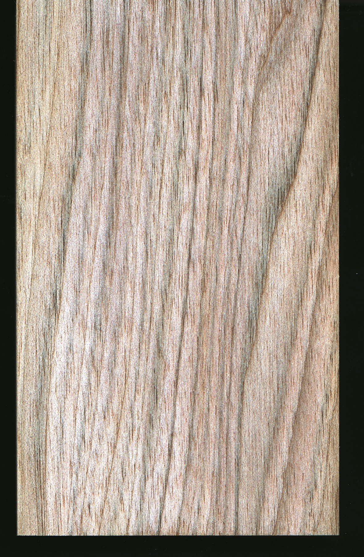 Butternut White Walnut Woodworking Network