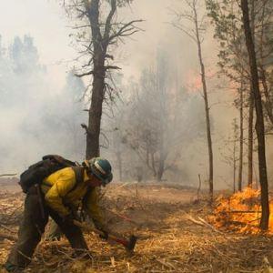 Update: Record fires reignite foresty, wood products debate