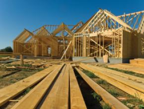 Housing Survey & Woodworking 2021