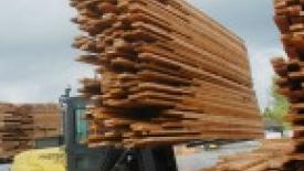 Gillespie-Lumber-Shipping-145.jpg