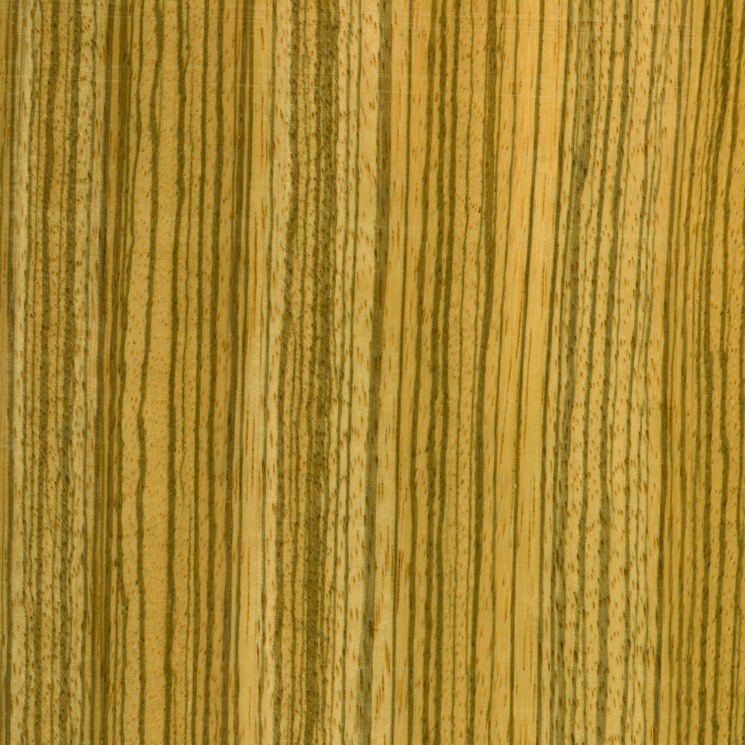 Zebrawood is a Popular Exotic Hardwood | Woodworking Network